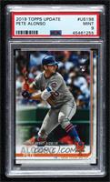 Rookie Debut - Pete Alonso [PSA 9 MINT]