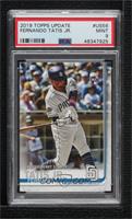 Rookie Debut - Fernando Tatis Jr. [PSA 9 MINT]