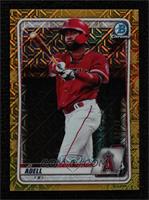 Jo Adell #/50