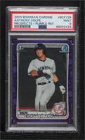 Anthony Volpe [PSA 9 MINT] #/250