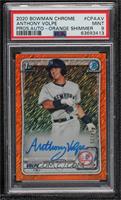 Anthony Volpe [PSA 9 MINT] #/25