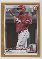 Jo Adell #/50