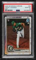 SP Image Variation - Jesus Luzardo (Green Jersey) [PSA 10 GEM MT]