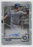 Austin Shenton [Good to VG‑EX] #/499