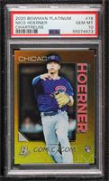 Nico Hoerner [PSA 10 GEM MT]