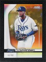 Prospects - Wander Franco #/50