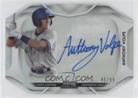 Anthony Volpe #/99