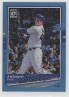 Anthony Rizzo #/50