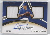 Joe Palumbo [EX to NM] #/49