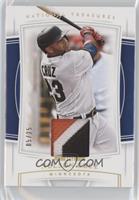 Nelson Cruz #/25