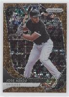 Jose Abreu #/25