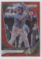 Adalberto Mondesi #/99