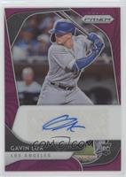 Gavin Lux #/50