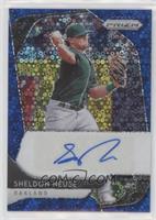 Sheldon Neuse #/50