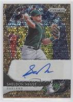 Sheldon Neuse #/25