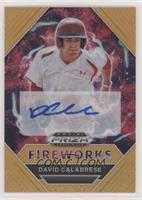 Fireworks - David Calabrese #/20