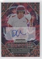 Fireworks - David Calabrese #/15