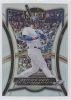 Diamond Level - Anthony Rizzo