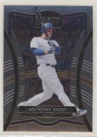 Diamond Level - Anthony Rizzo