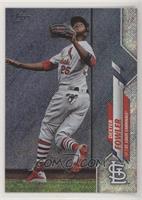 Dexter Fowler #/264