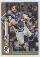 Austin Hedges [EX to NM] #/2,020