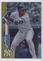 Miguel Andujar