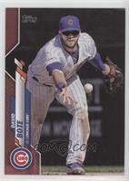 David Bote #/50