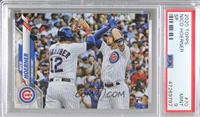 SP - Photo Variation - Nico Hoerner (Celebrating with Kyle Schwarber) [PSA …