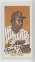 Tony Gwynn