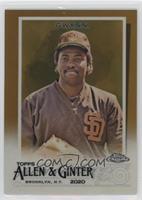 Tony Gwynn #/50