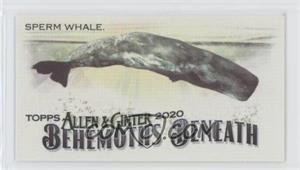 Sperm-Whale.jpg?id=8257d819-5227-4601-b034-ccea90913eb0&size=original&side=front&.jpg