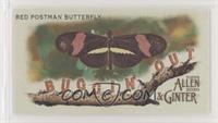 Red Postman Butterfly