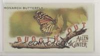 Monarch Butterfly