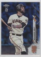 Brandon Belt #/75