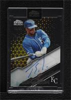 Jorge Soler [Uncirculated] #/50