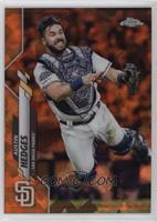 Austin Hedges #/25