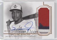 Victor Robles #/10