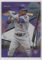 Javier Baez #/250