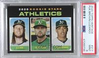 Rookie Stars - A.J. Puk, Seth Brown, Jesus Luzardo [PSA 9 MINT]