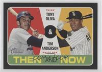 Tony Oliva, Tim Anderson