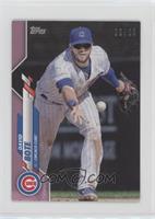 David Bote #/25