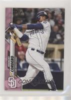 Franchy Cordero #/25