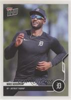 Niko Goodrum #/65