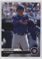 Anthony Rizzo #/443