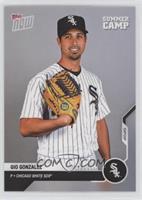 Summer Camp - Gio Gonzalez #/1,363