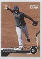 Summer Camp - Miguel Andujar #/1,363