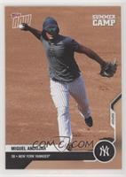 Summer Camp - Miguel Andujar #/1,363