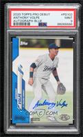 Anthony Volpe [PSA 9 MINT] #/150