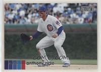 Base - Anthony Rizzo (Fielding)