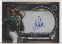 A.J. Puk #/150